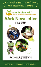 AArkNewsletter